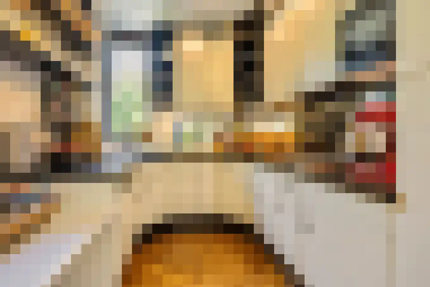 Bous de Jongpark 57 Rijswijk thumbnail 19