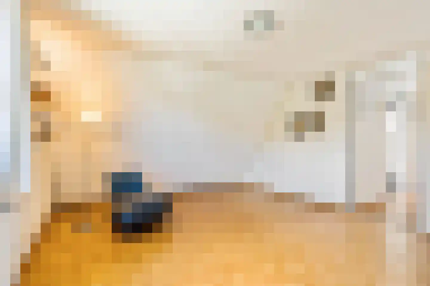 Bous de Jongpark 57 Rijswijk thumbnail 40