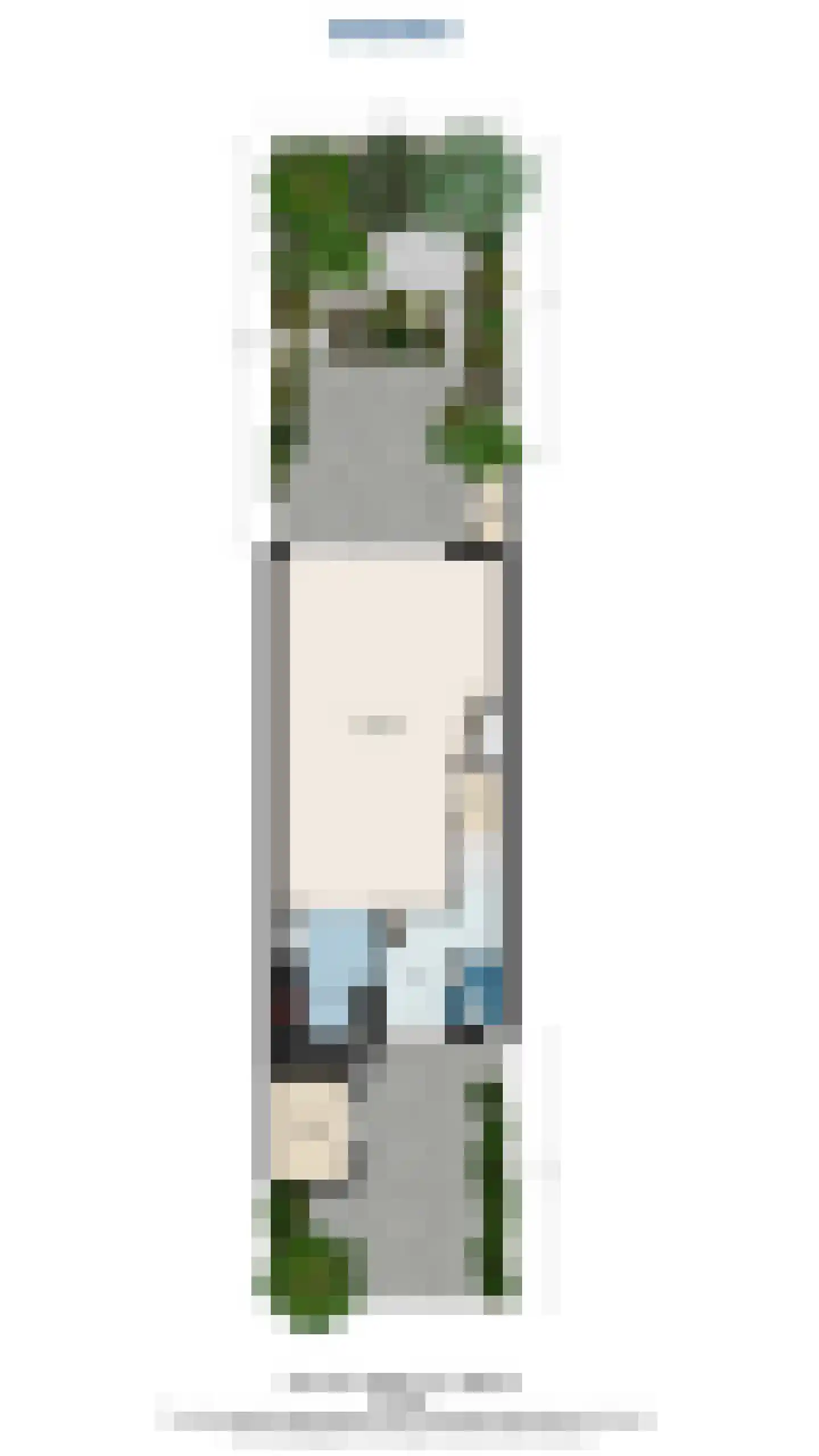 Bous de Jongpark 57 Rijswijk thumbnail 62