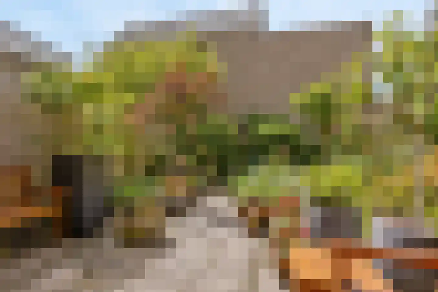 Bous de Jongpark 57 Rijswijk thumbnail 9