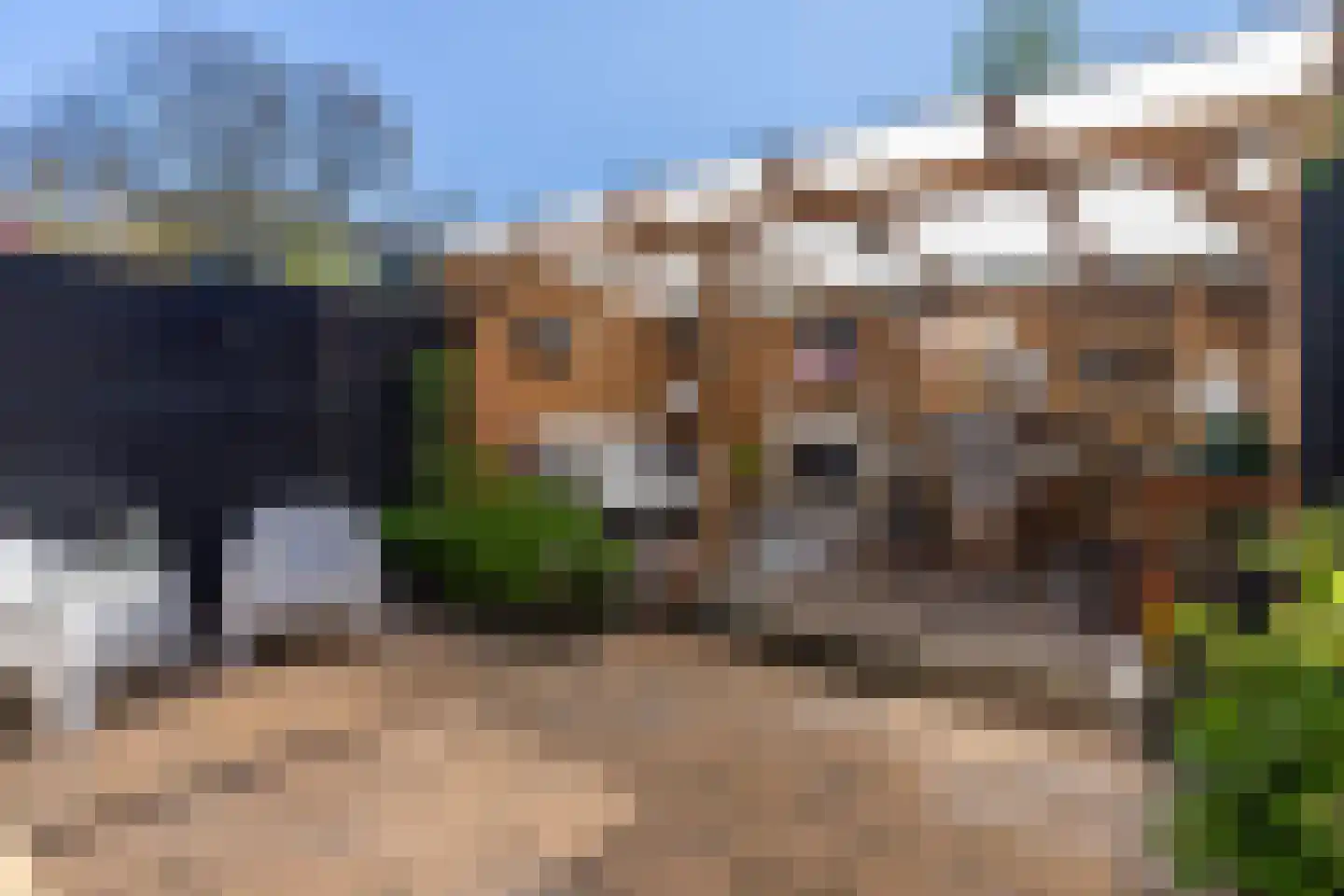 Bous de Jongpark 62 Rijswijk thumbnail 13