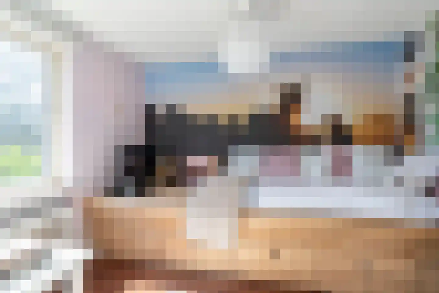 Bous de Jongpark 62 Rijswijk thumbnail 22