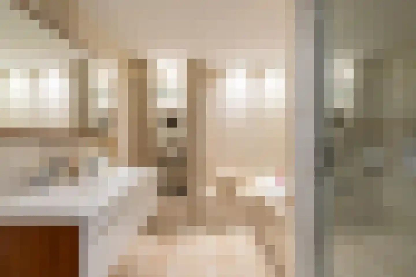 Bous de Jongpark 62 Rijswijk thumbnail 24