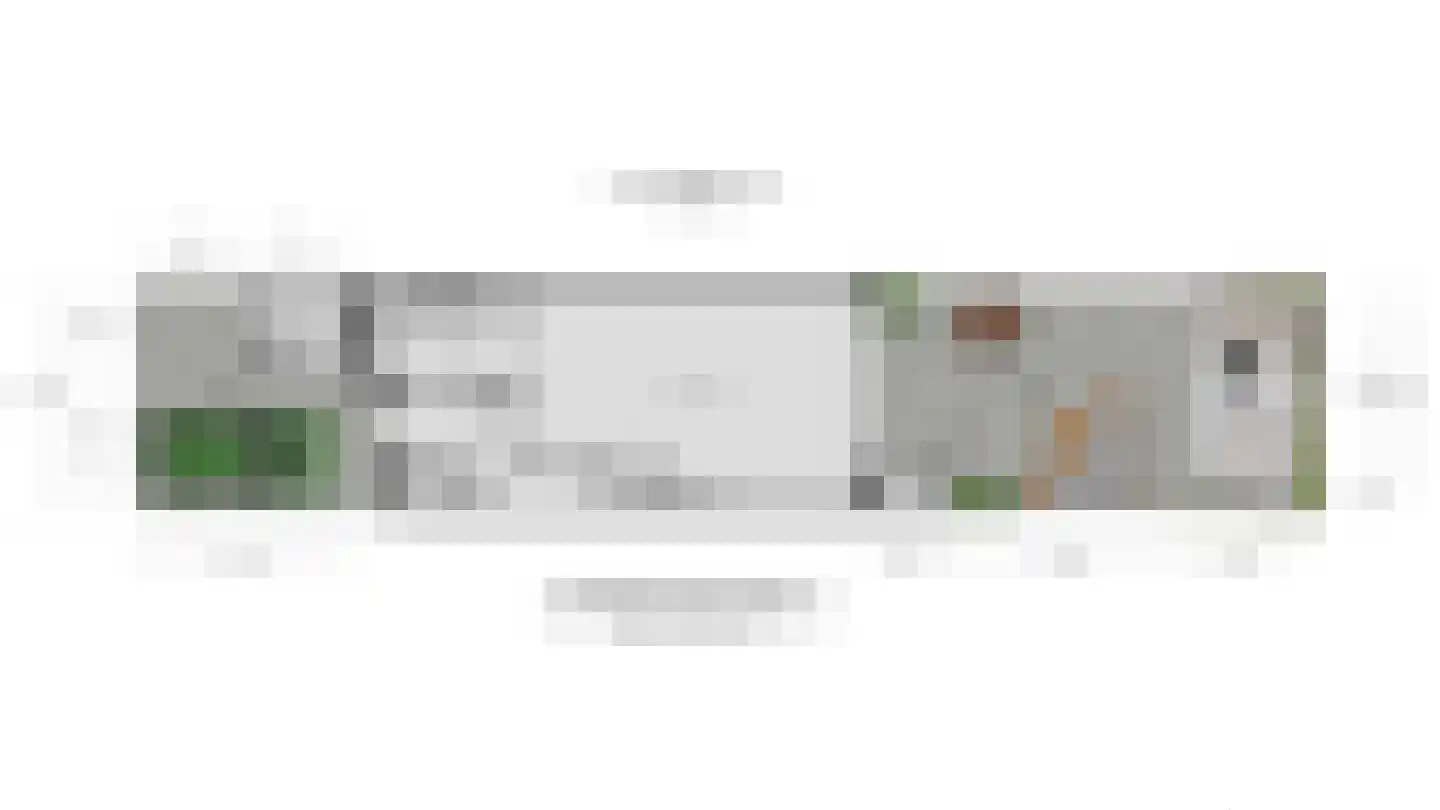 Bous de Jongpark 62 Rijswijk thumbnail 39