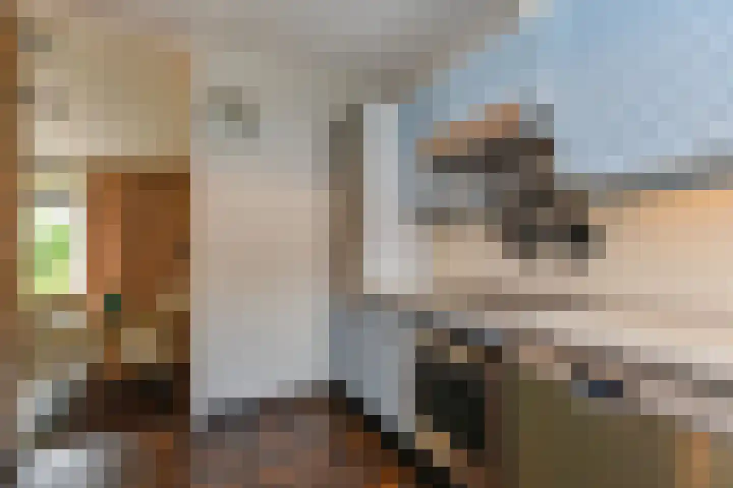 Bous de Jongpark 78 Rijswijk thumbnail 10