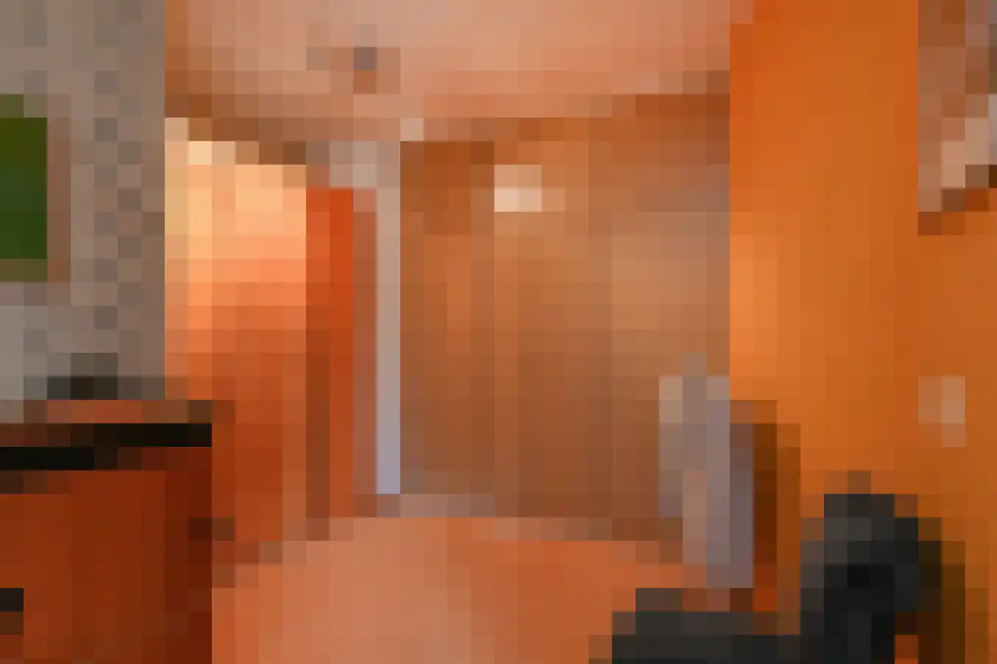 Bous de Jongpark 78 Rijswijk thumbnail 20