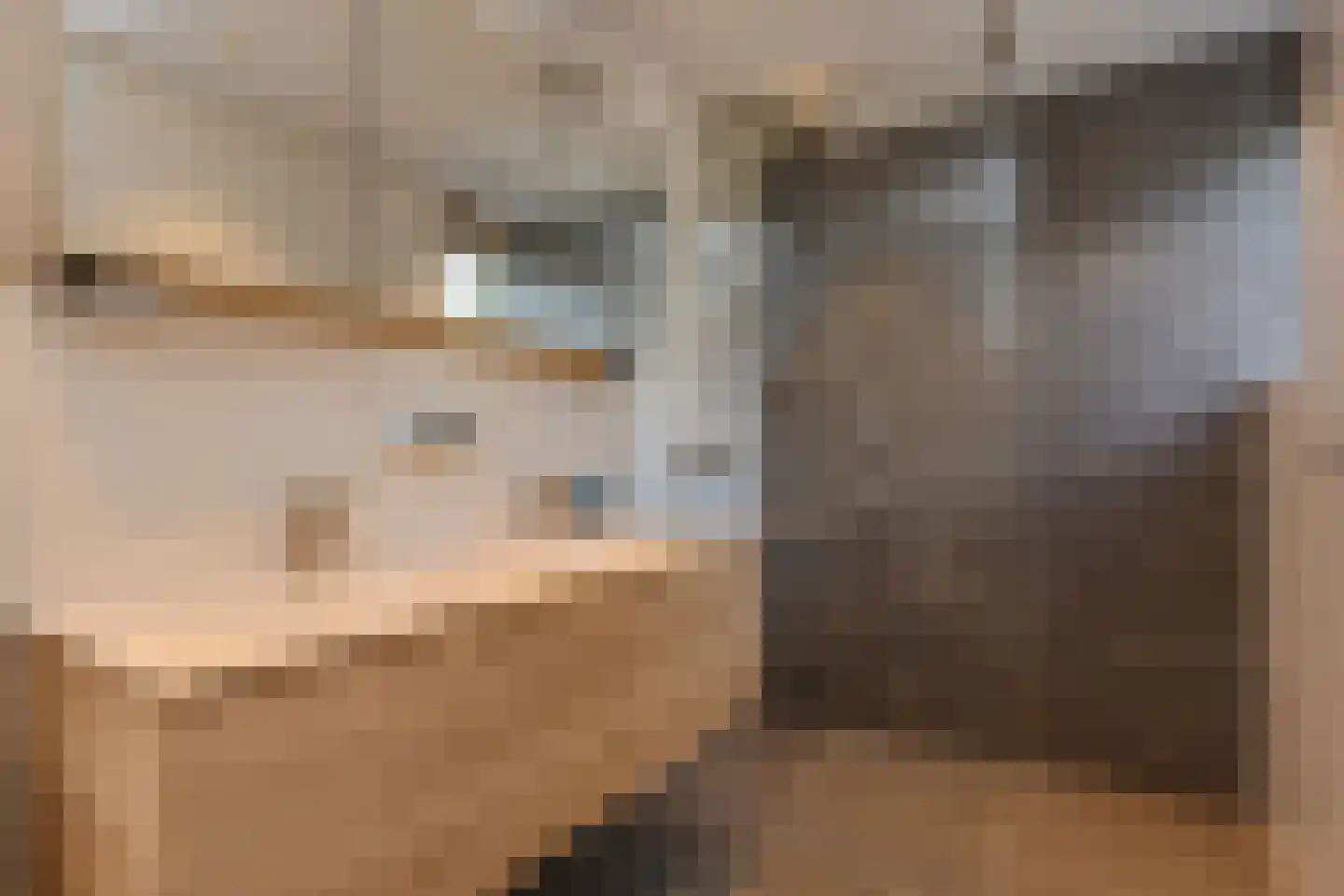 Bous de Jongpark 78 Rijswijk thumbnail 21