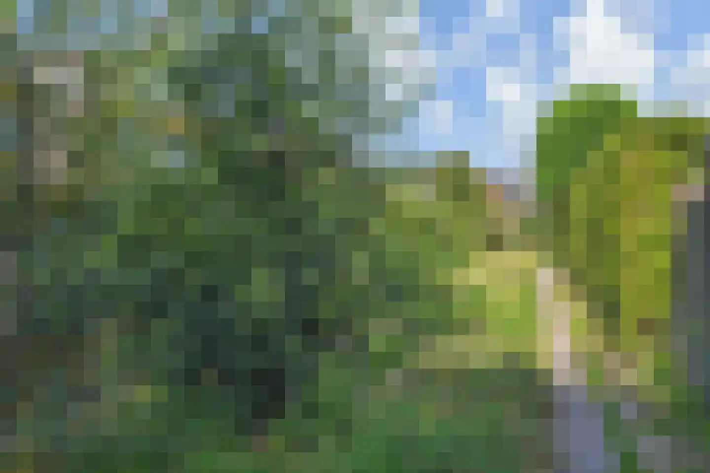 Bous de Jongpark 78 Rijswijk thumbnail 35