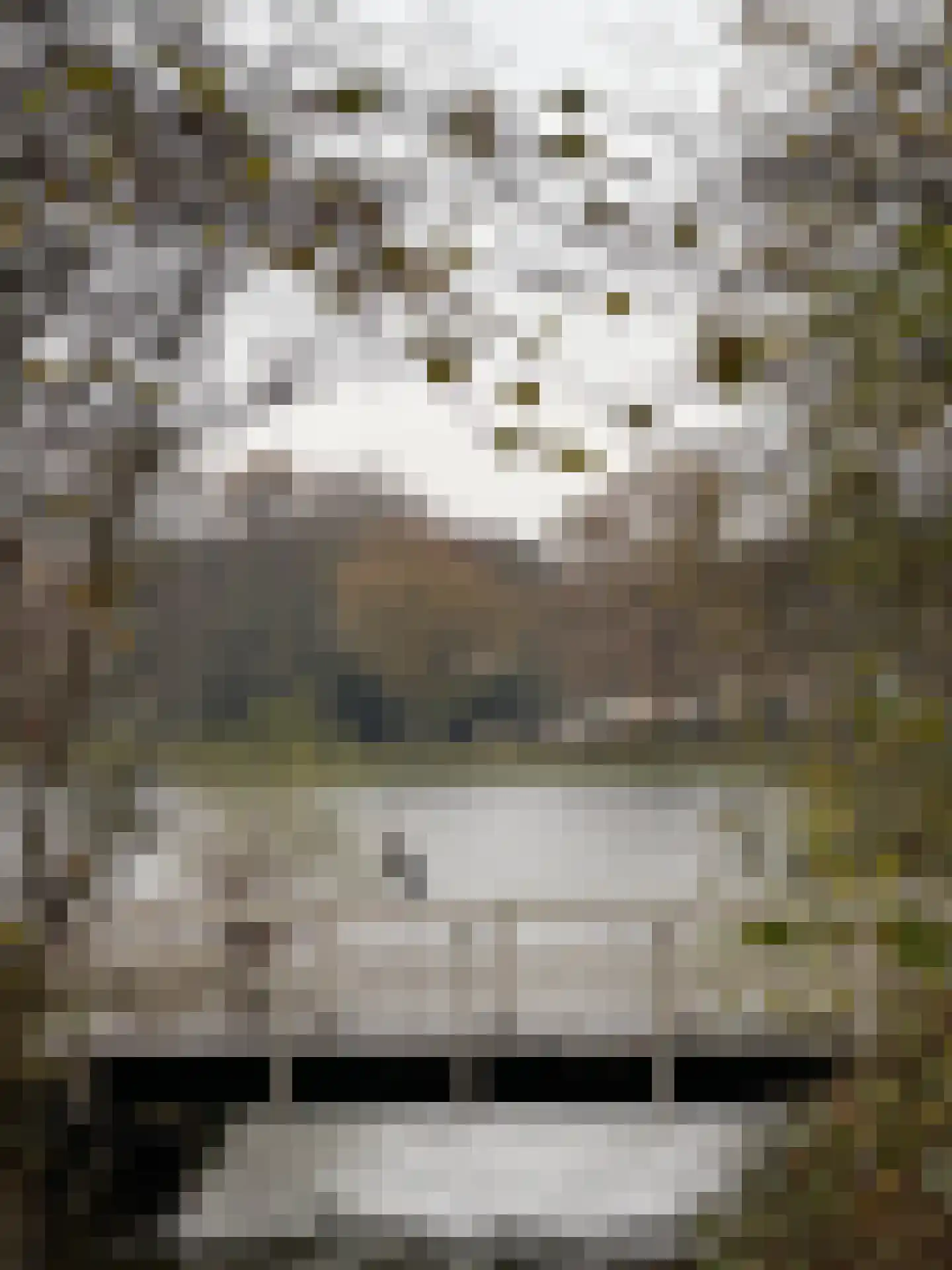 Bous de Jongpark 78 Rijswijk thumbnail 36