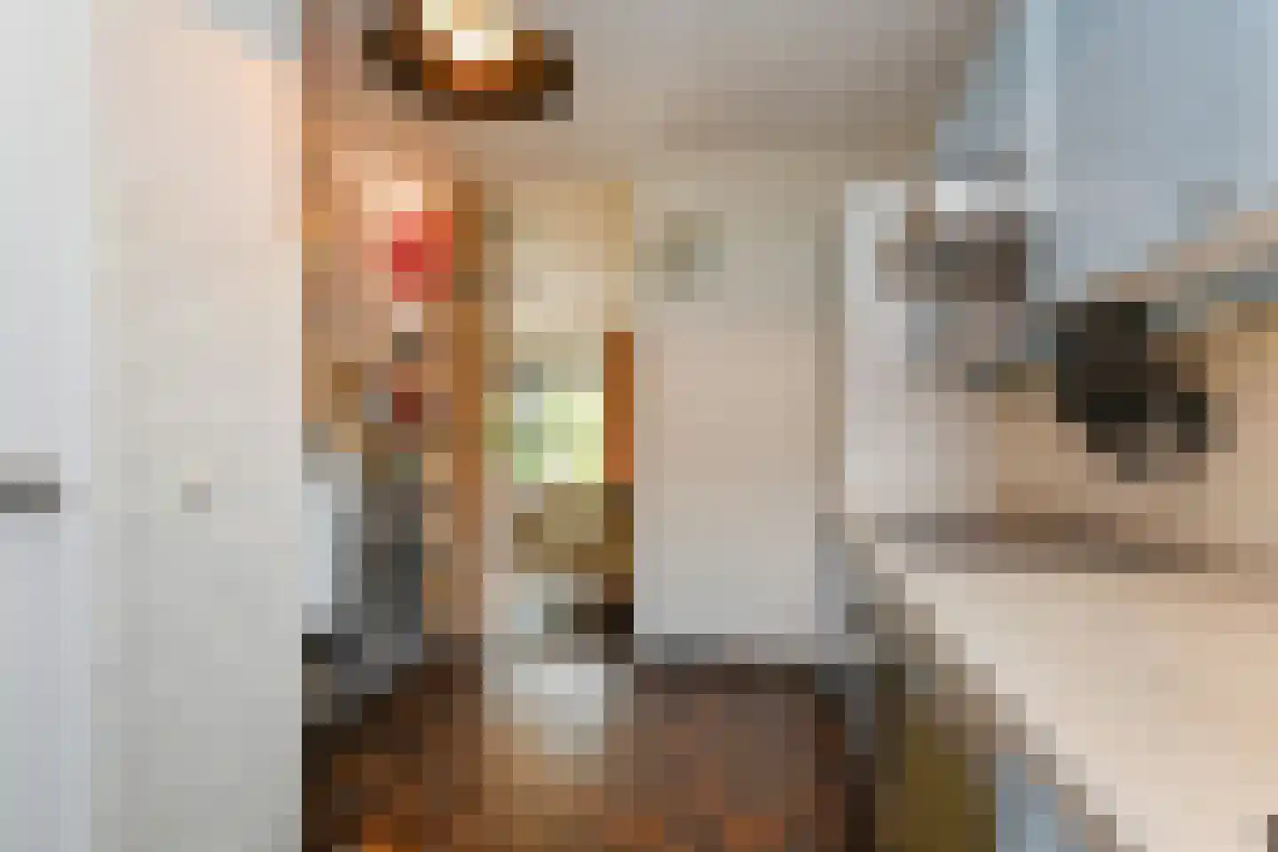 Bous de Jongpark 78 Rijswijk thumbnail 9
