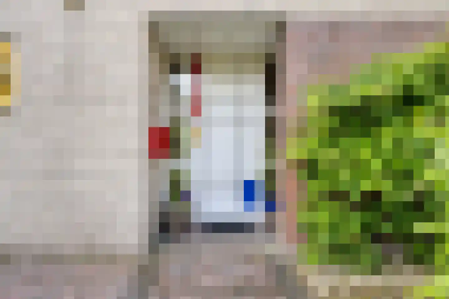 Bousemalaan 15 Tolbert thumbnail 10