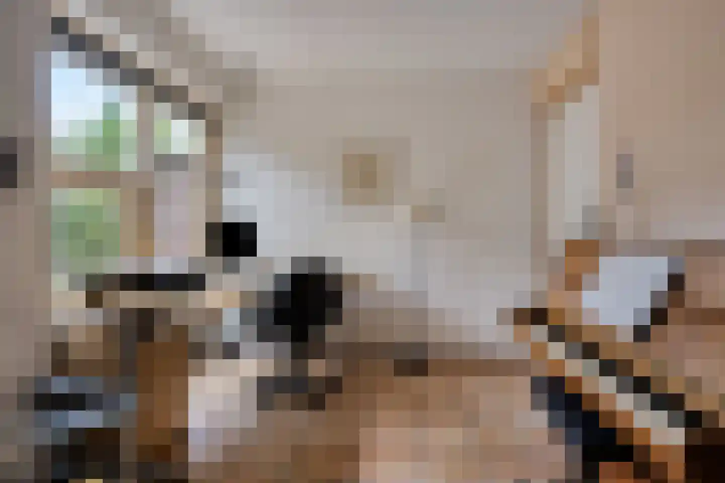 Bousemalaan 15 Tolbert thumbnail 30