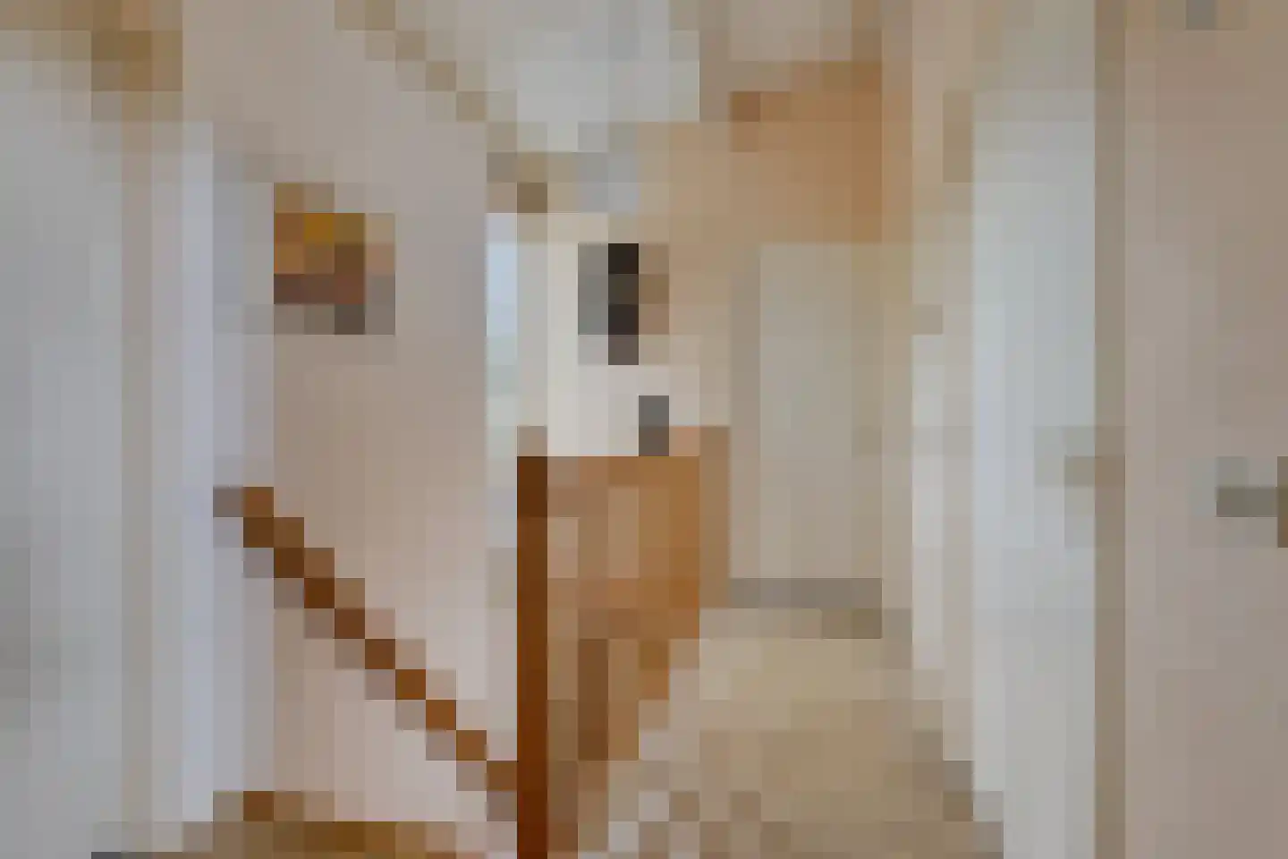 Bousemalaan 15 Tolbert thumbnail 37