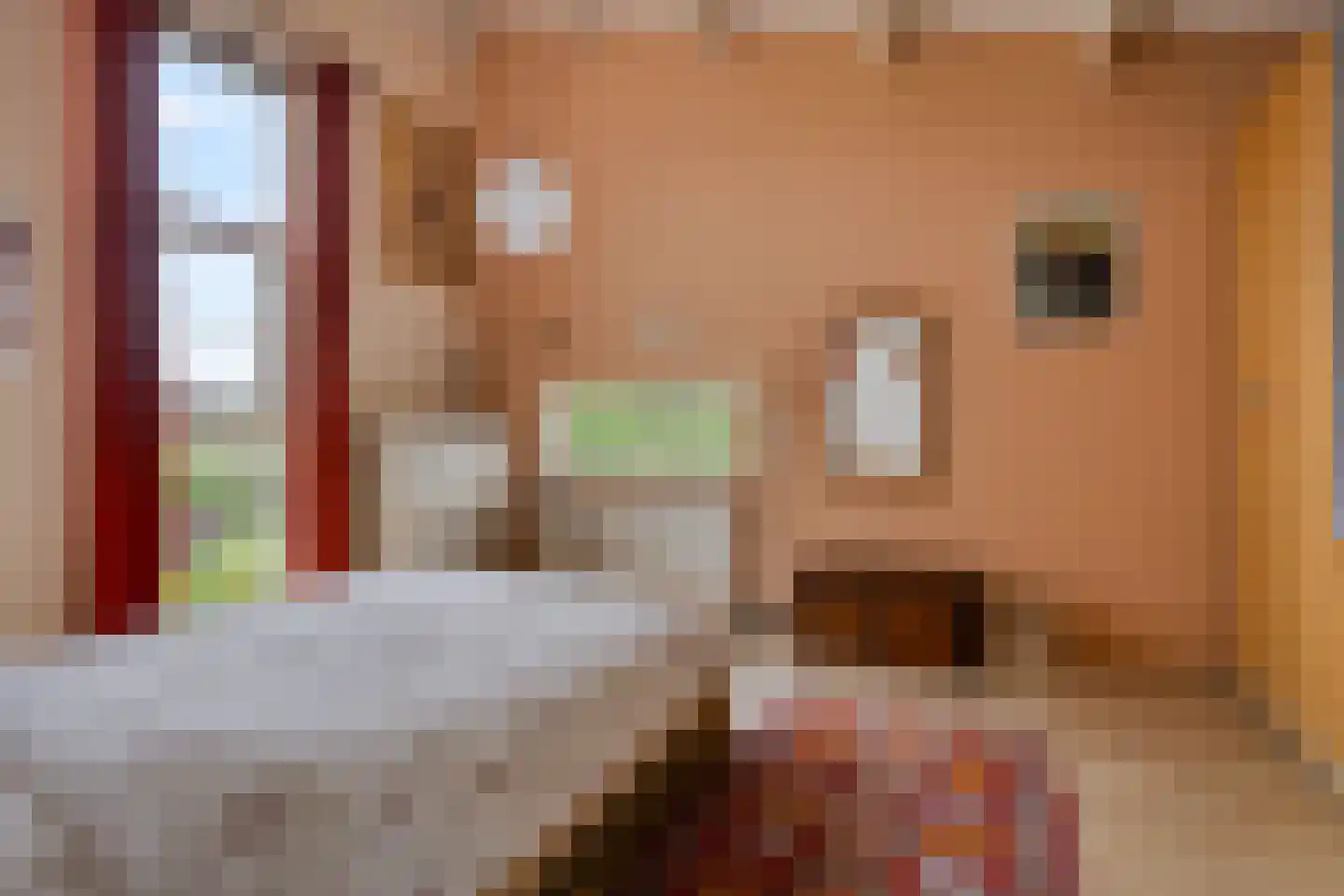 Bousemalaan 15 Tolbert thumbnail 39