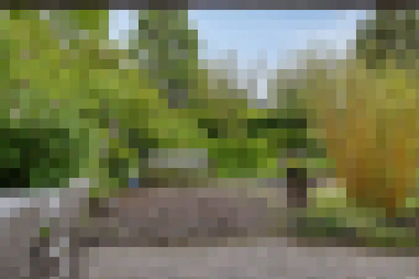 Bousemalaan 15 Tolbert thumbnail 4