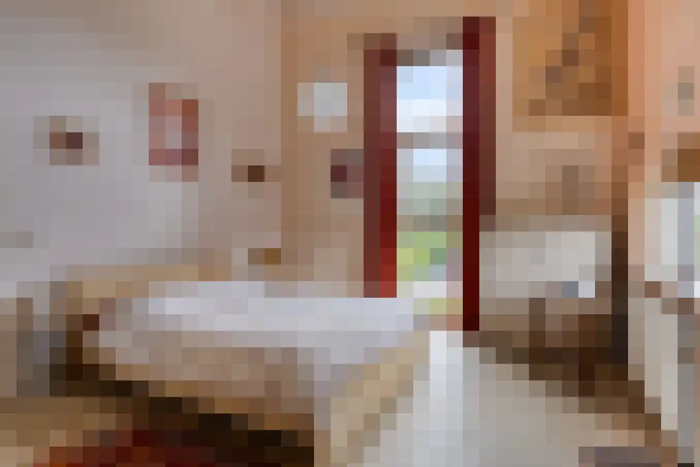 Bousemalaan 15 Tolbert thumbnail 40