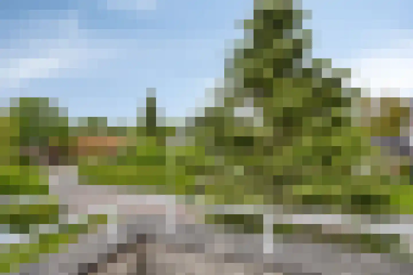 Bousemalaan 15 Tolbert thumbnail 48