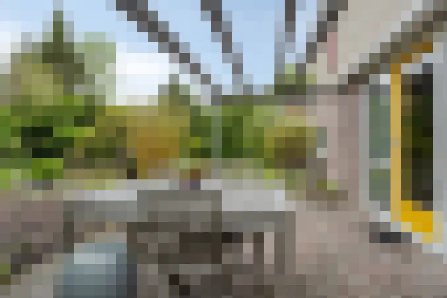 Bousemalaan 15 Tolbert thumbnail 53