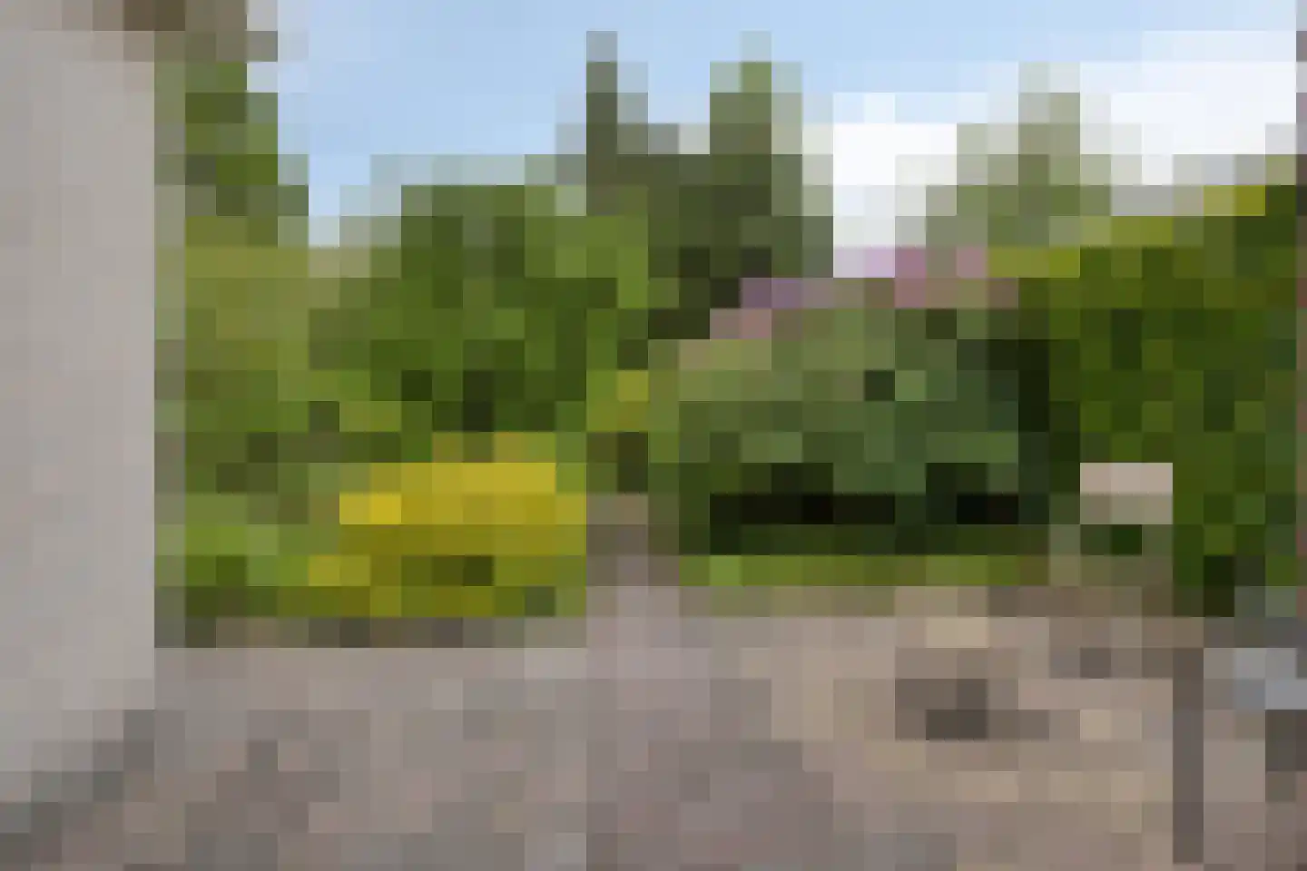 Bousemalaan 15 Tolbert thumbnail 57