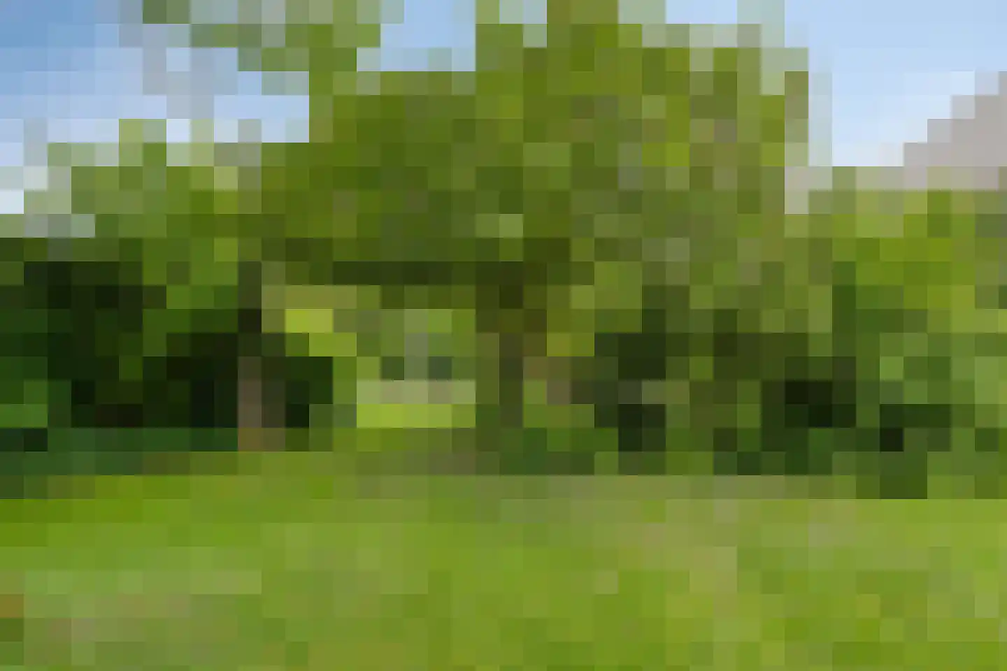 Bousemalaan 15 Tolbert thumbnail 58
