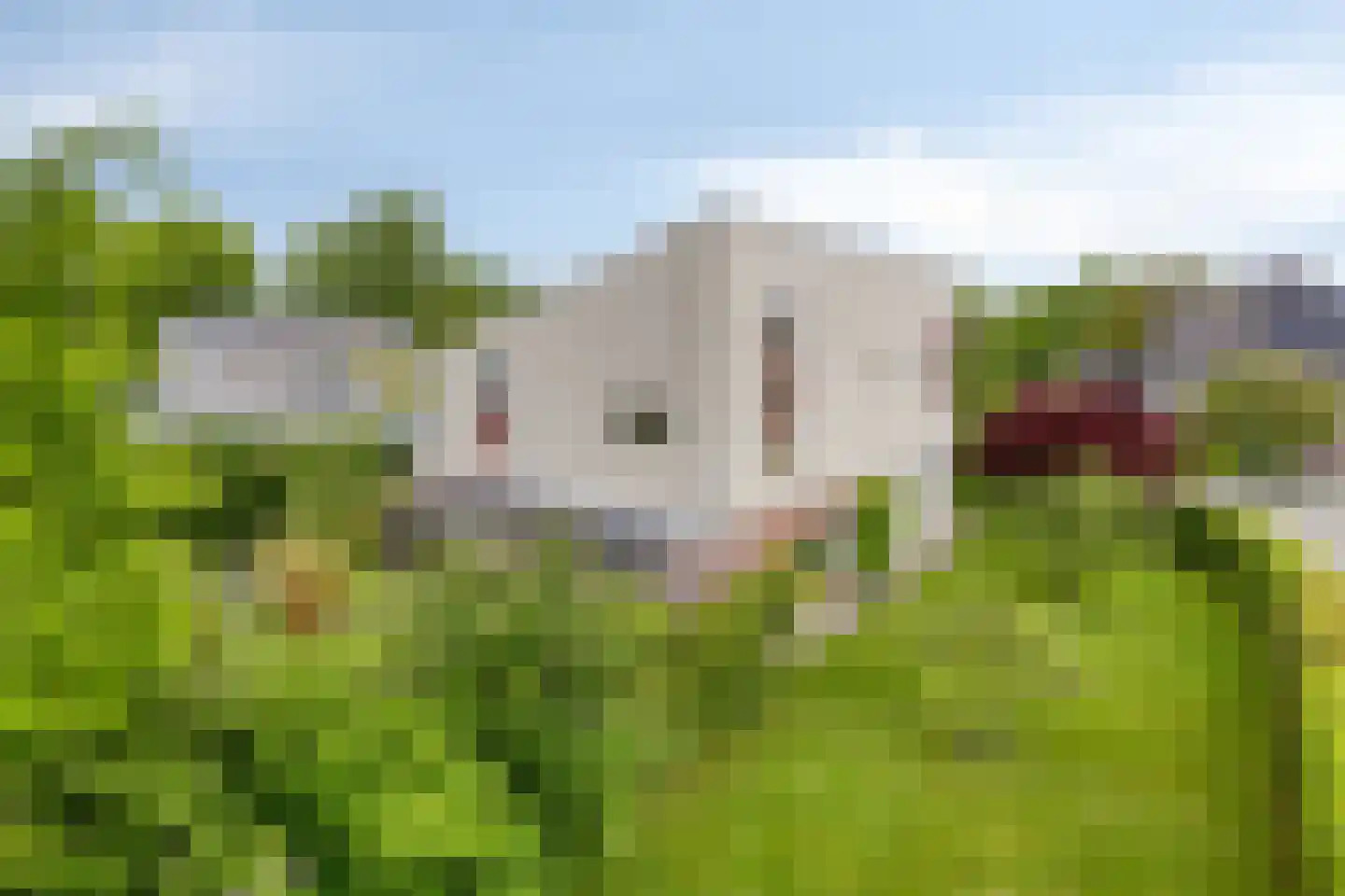 Bousemalaan 15 Tolbert thumbnail 6