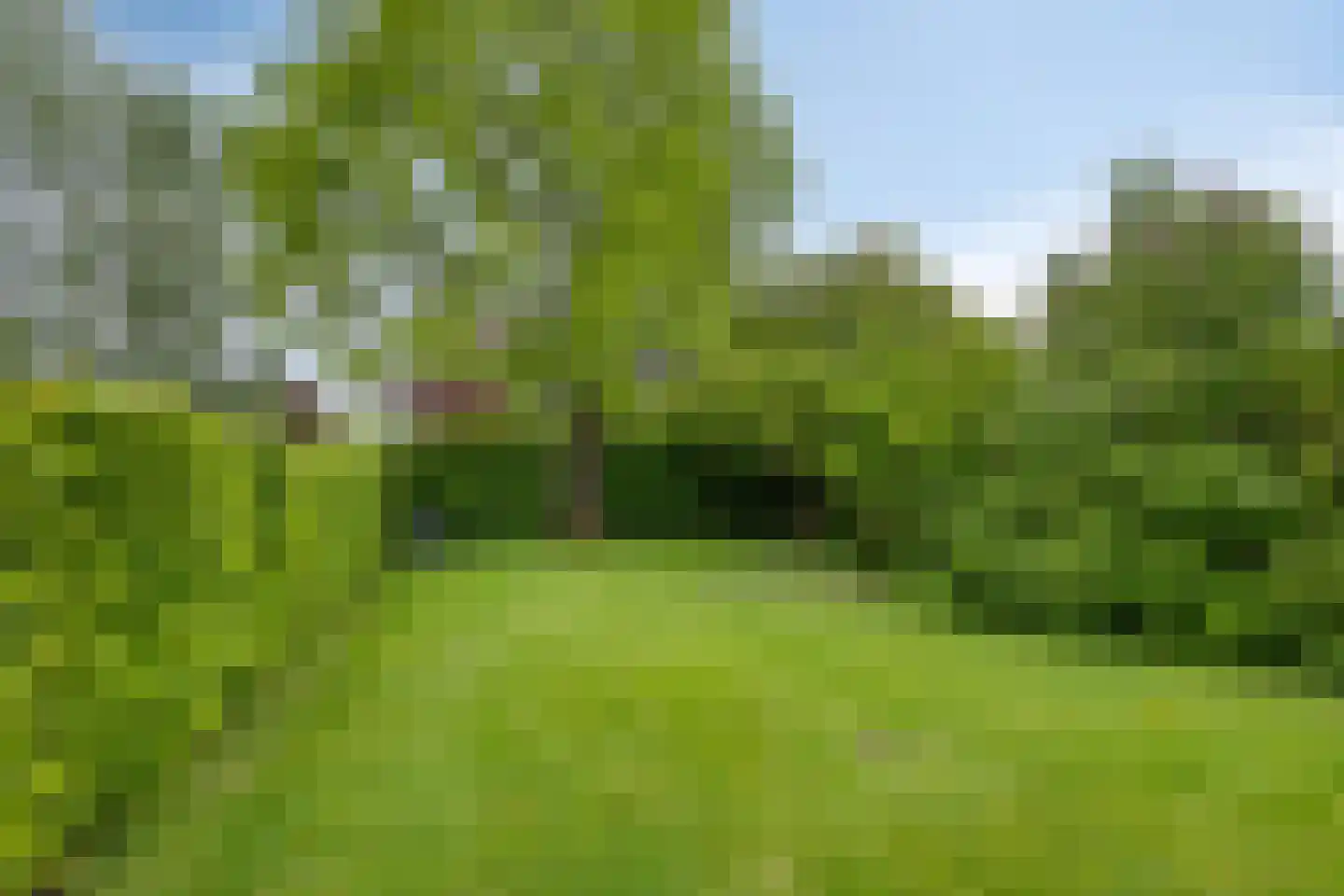 Bousemalaan 15 Tolbert thumbnail 60