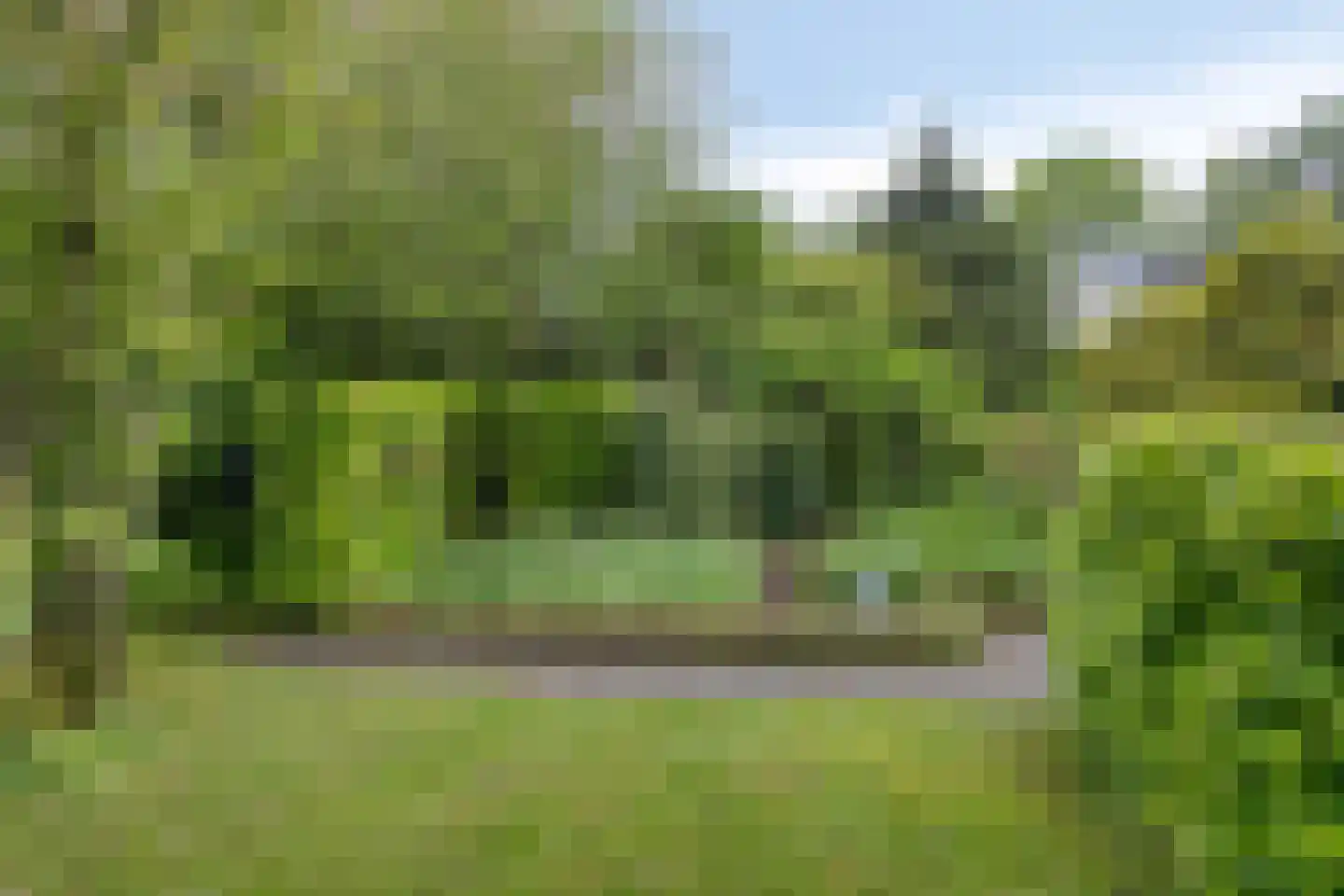 Bousemalaan 15 Tolbert thumbnail 61