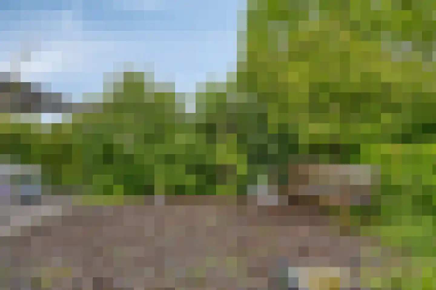 Bousemalaan 15 Tolbert thumbnail 62