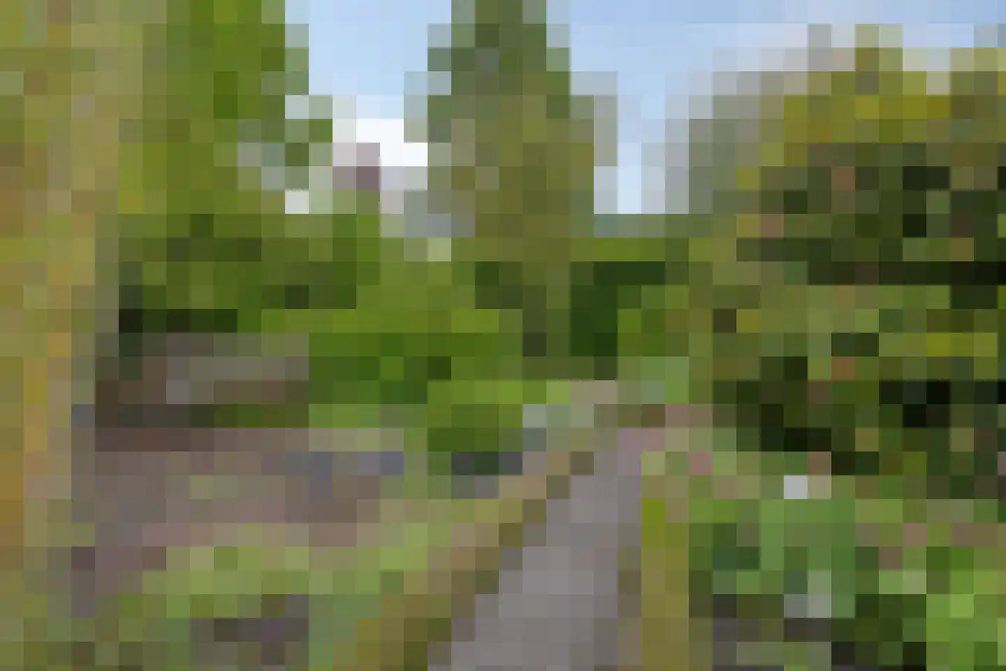 Bousemalaan 15 Tolbert thumbnail 63
