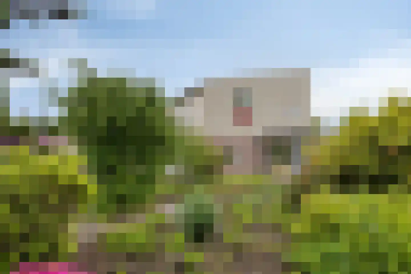 Bousemalaan 15 Tolbert thumbnail 65