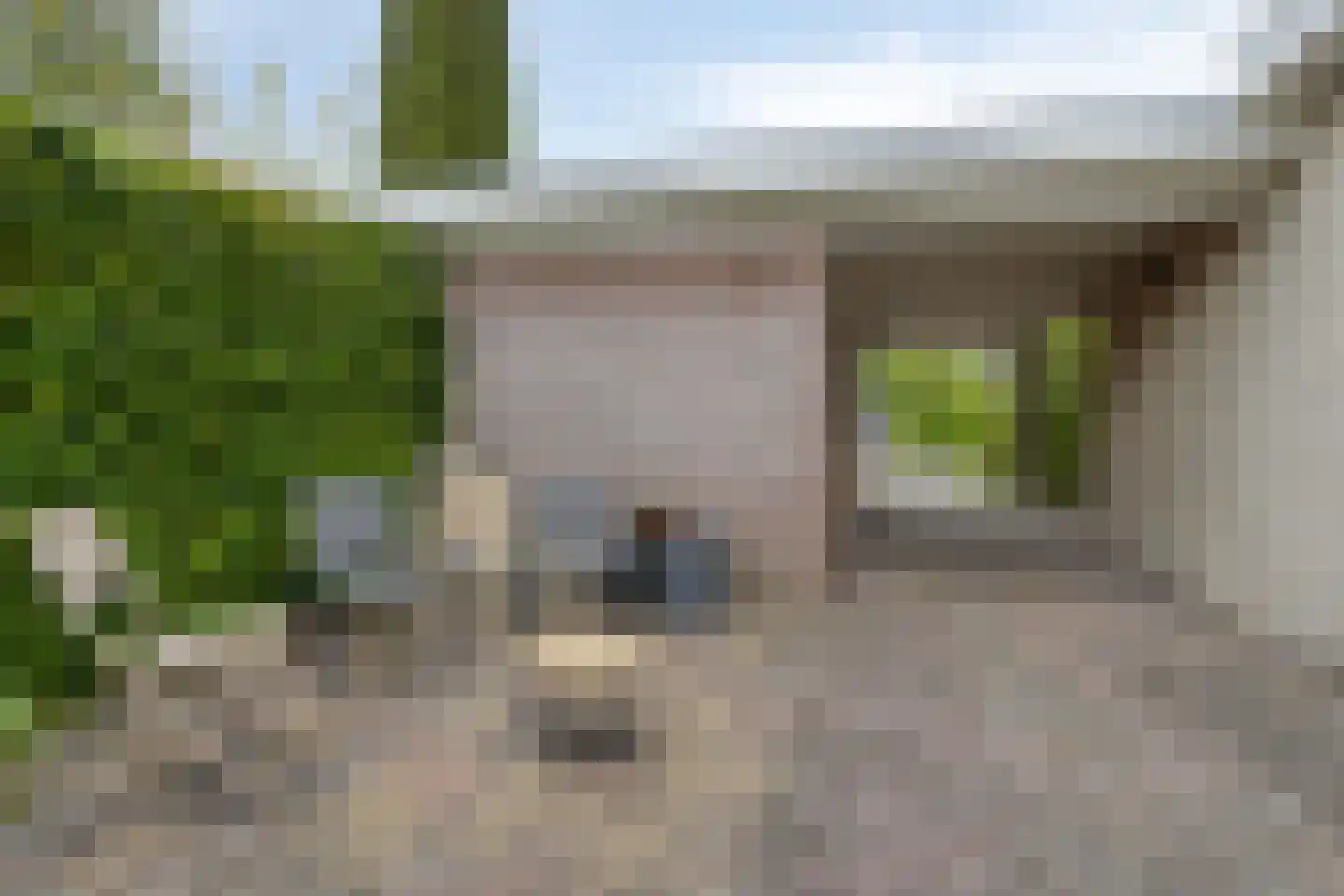 Bousemalaan 15 Tolbert thumbnail 67