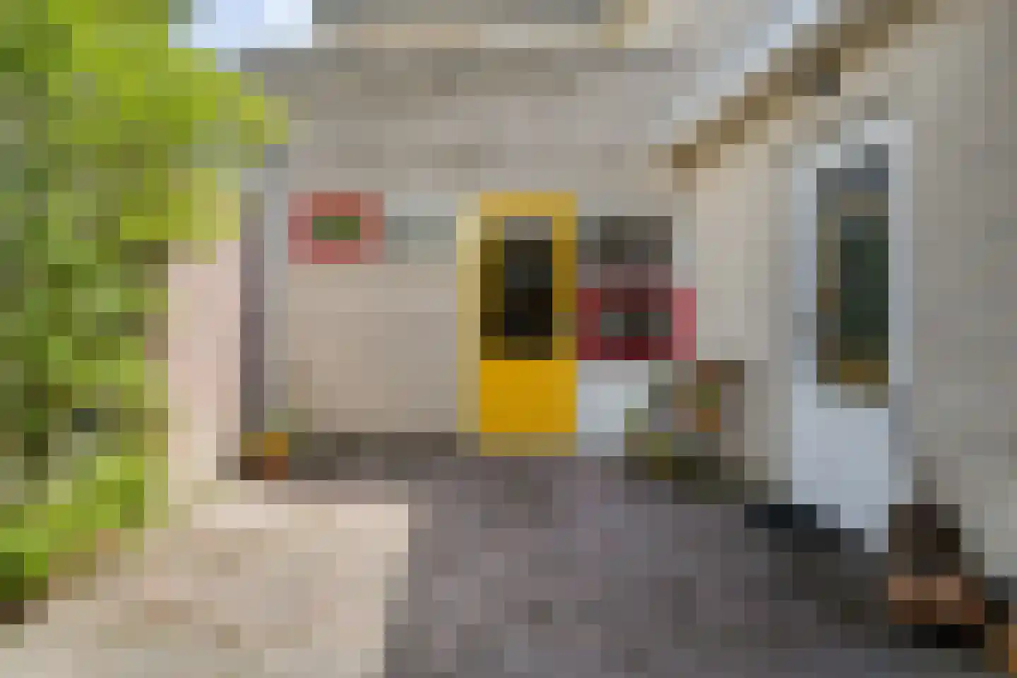 Bousemalaan 15 Tolbert thumbnail 69