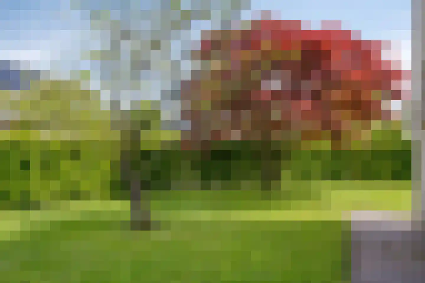 Bousemalaan 15 Tolbert thumbnail 71