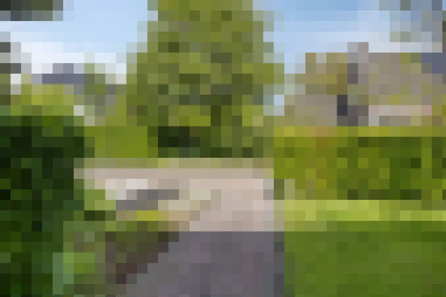Bousemalaan 15 Tolbert thumbnail 72