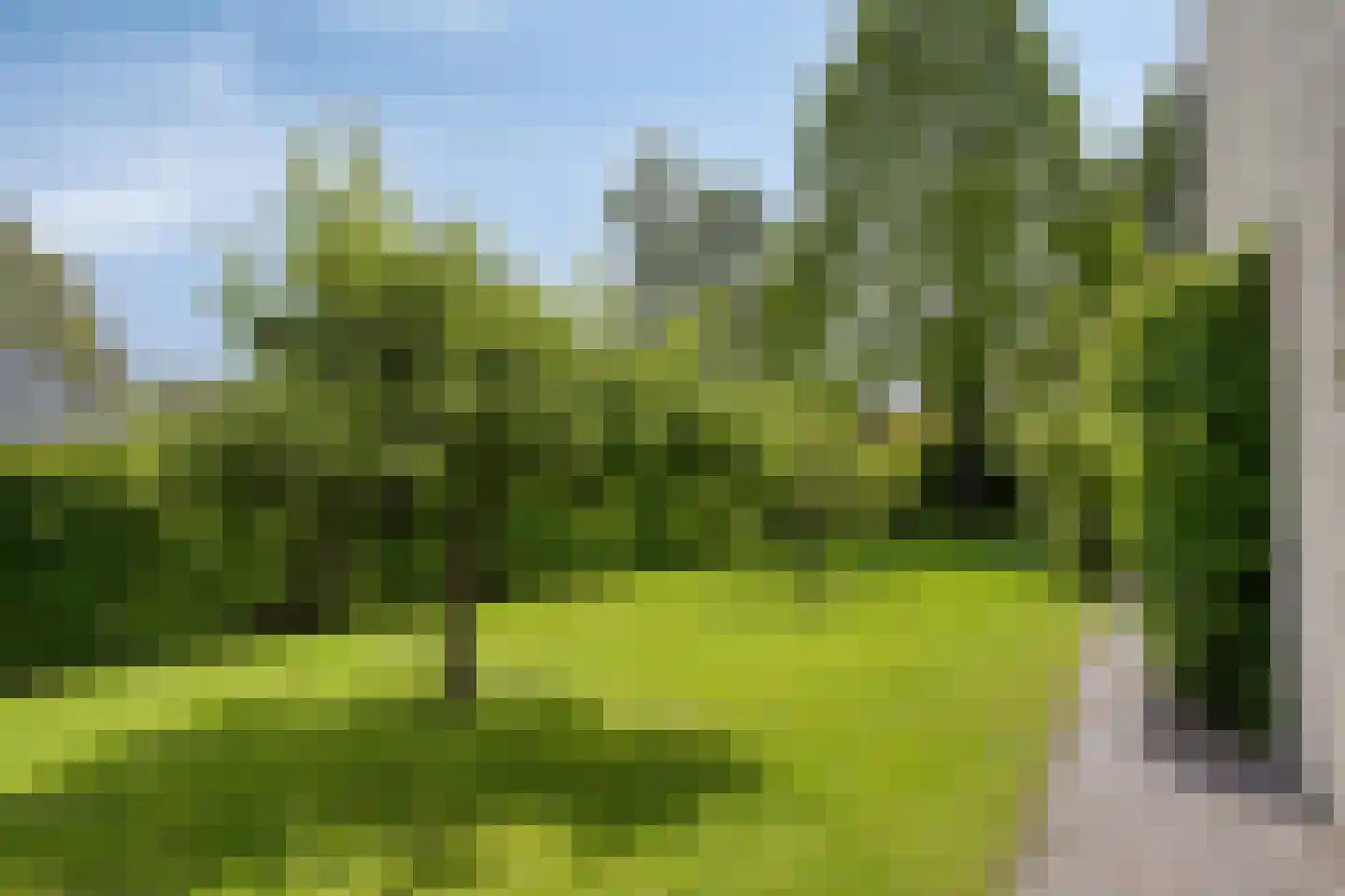 Bousemalaan 15 Tolbert thumbnail 73