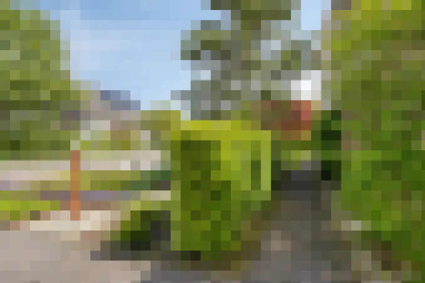 Bousemalaan 15 Tolbert thumbnail 74
