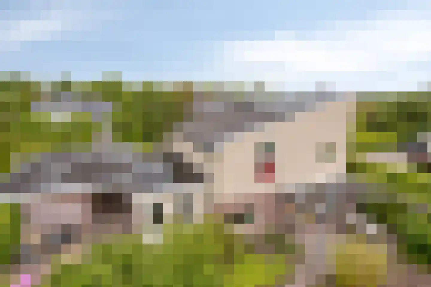Bousemalaan 15 Tolbert thumbnail 75