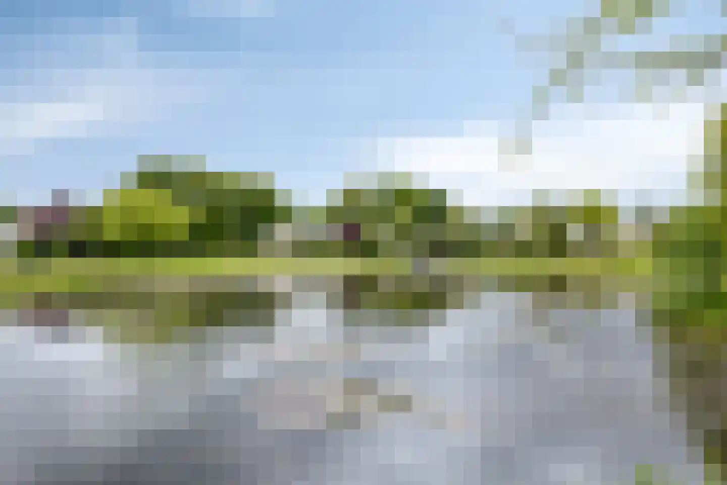 Bousemalaan 15 Tolbert thumbnail 79