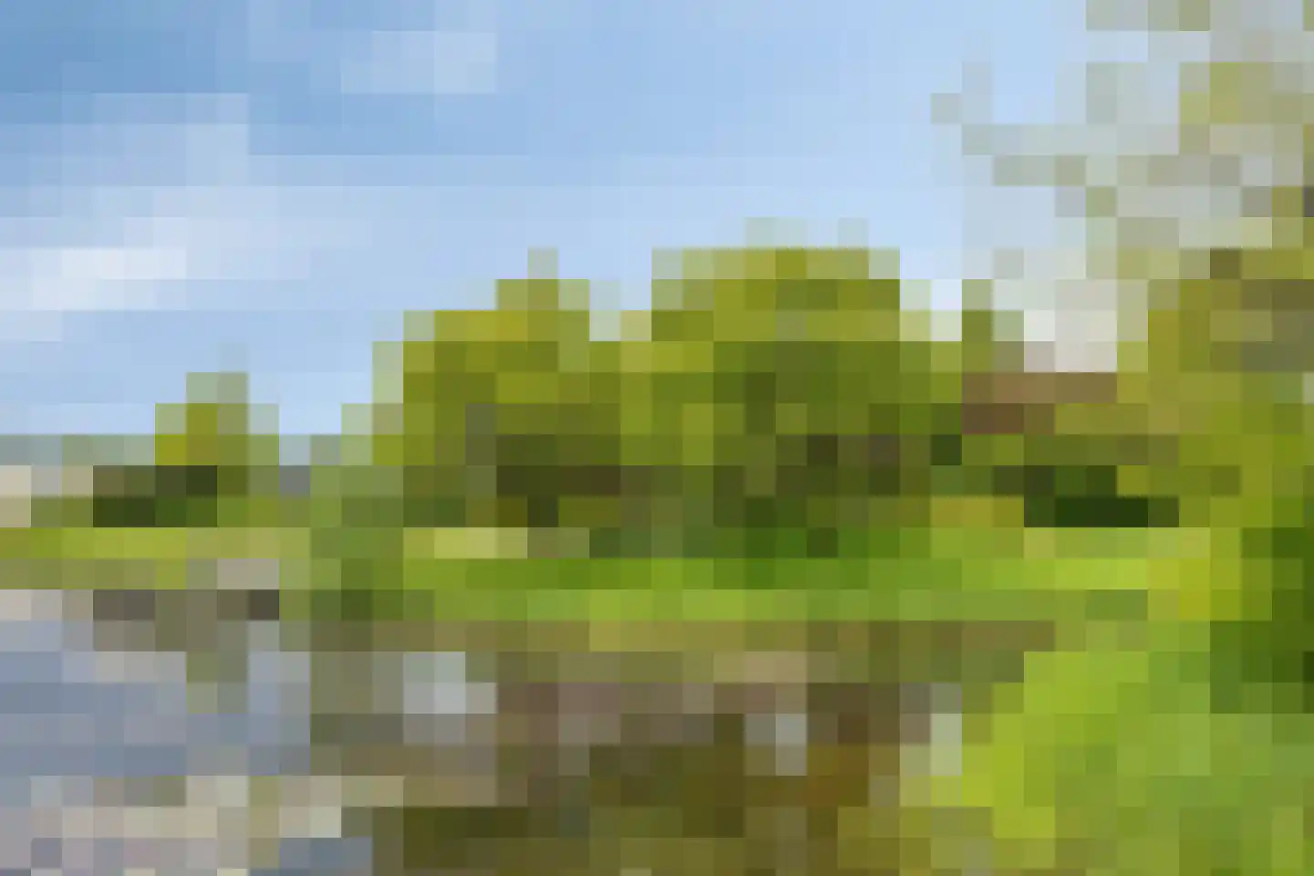 Bousemalaan 15 Tolbert thumbnail 80