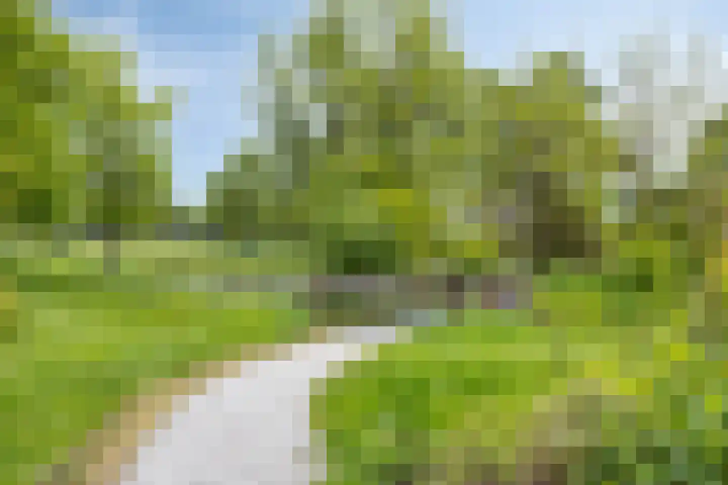 Bousemalaan 15 Tolbert thumbnail 83