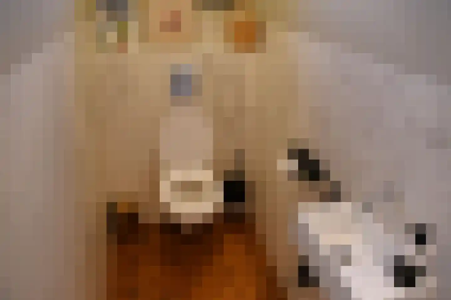 Bousemalaan 5 A Tolbert thumbnail 27
