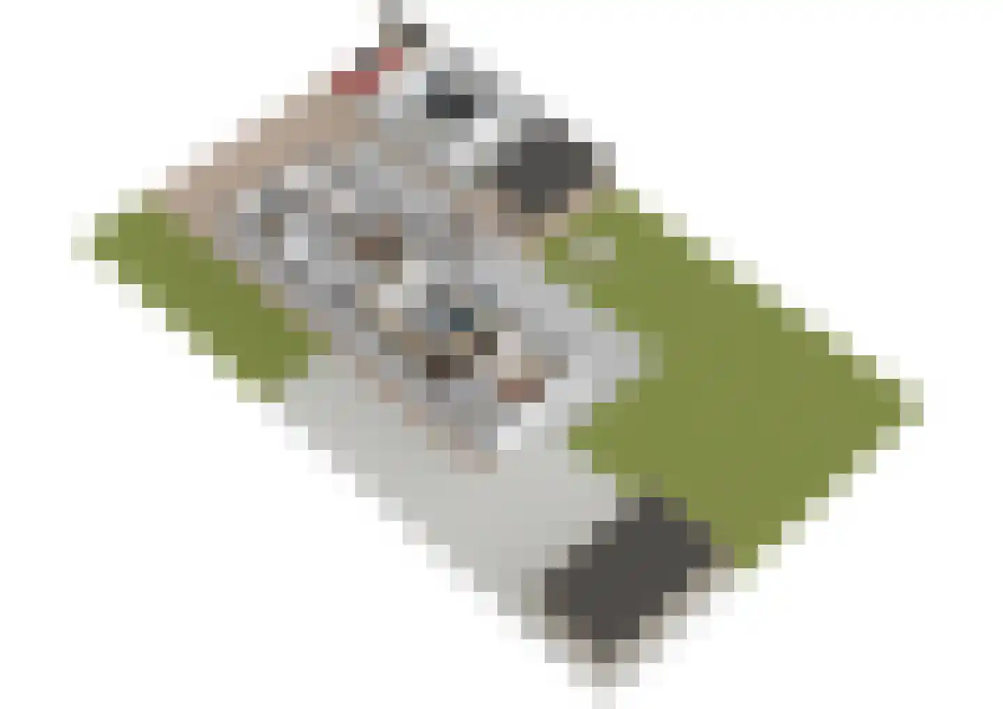Bousemalaan 5 A Tolbert thumbnail 32
