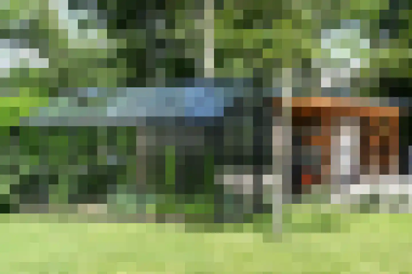 Bousemalaan 5 A Tolbert thumbnail 37