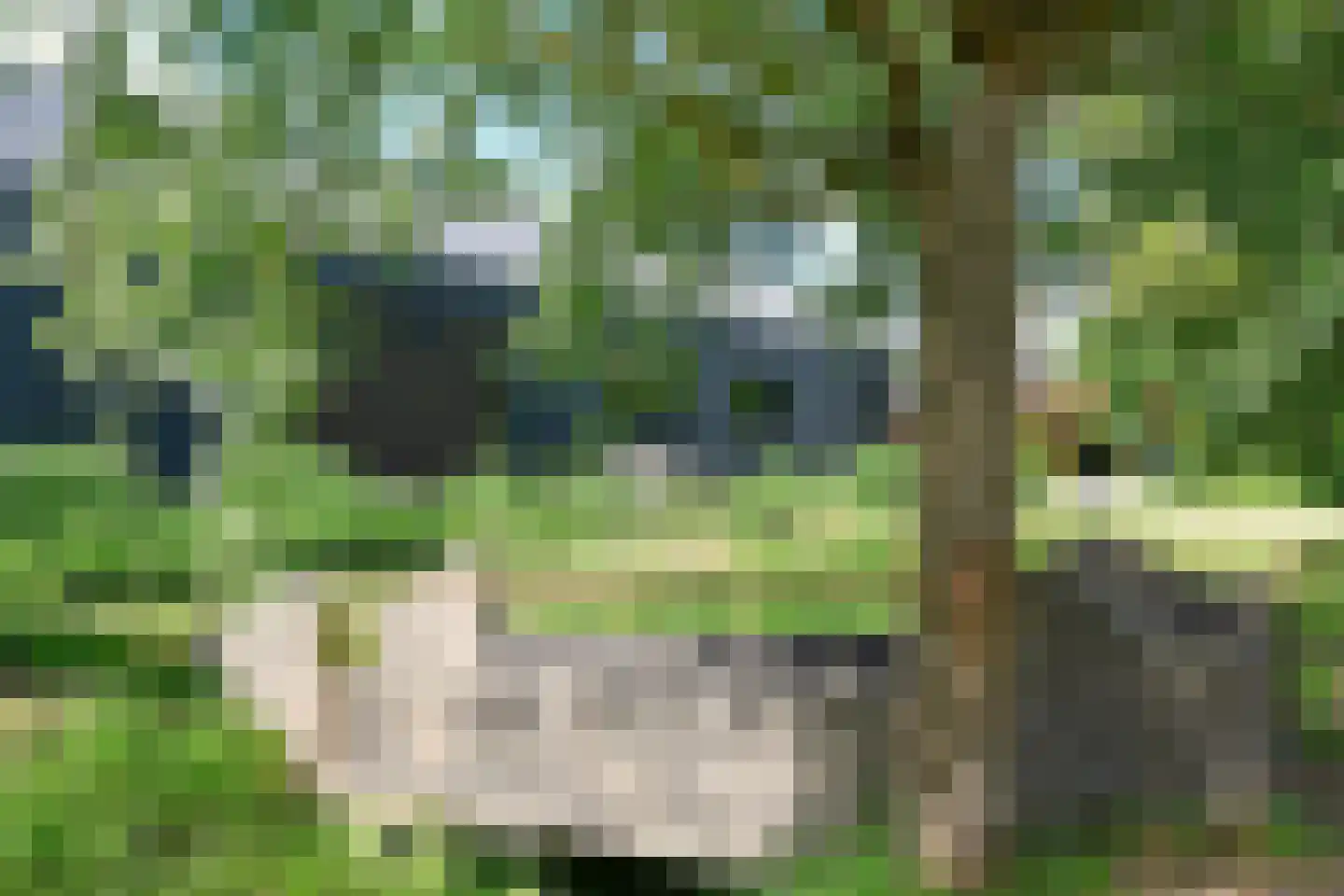 Bousemalaan 5 A Tolbert thumbnail 4