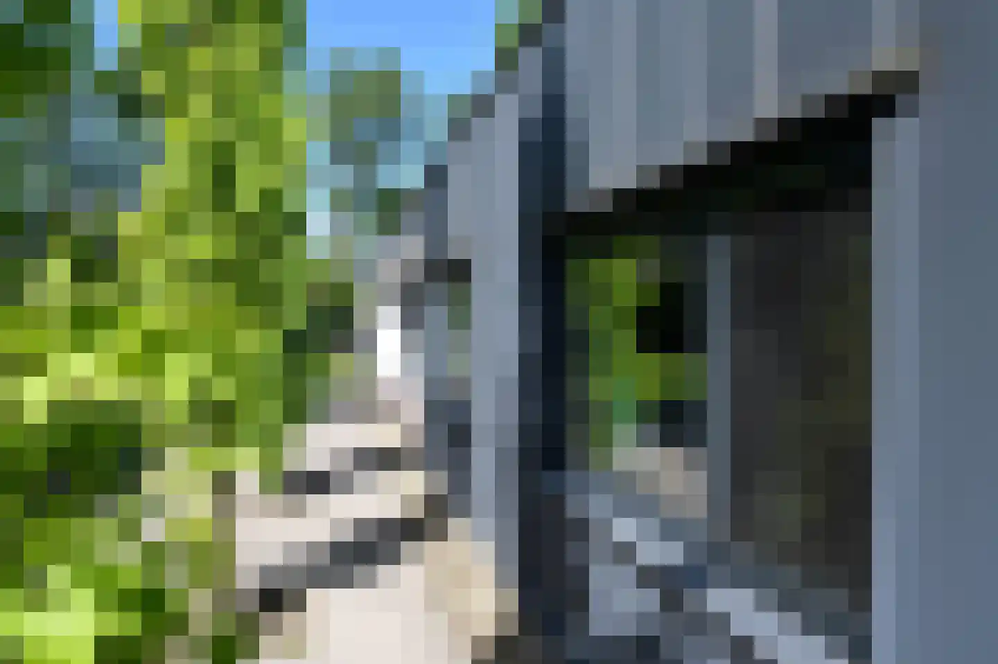 Bousemalaan 5 A Tolbert thumbnail 8