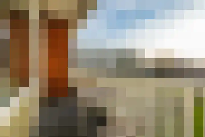 Boutenburg 101 Amsterdam thumbnail 29