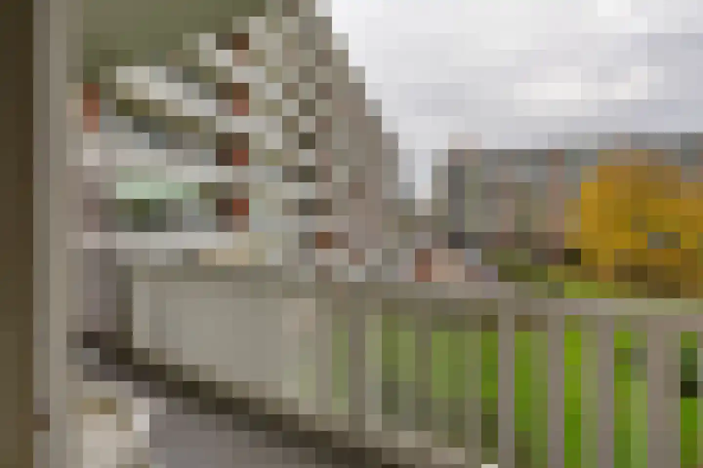 Boutenburg 107 Amsterdam thumbnail 25