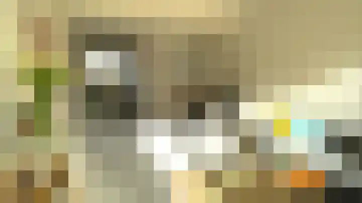 Boutenburg 31 Amsterdam thumbnail 6