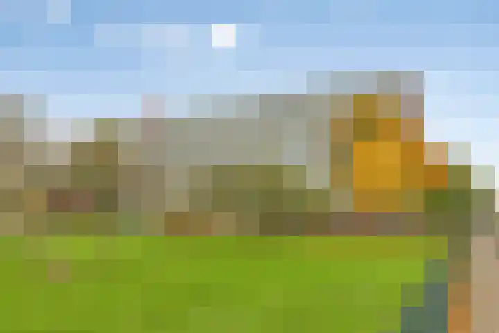 Boutenburg 85 Amsterdam thumbnail 8