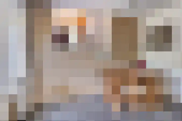 Boutensgaarde 124 Deventer thumbnail 10